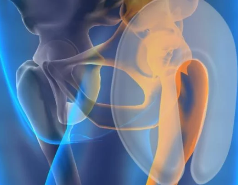 Mens Safehip AirX Hip Protector Pant