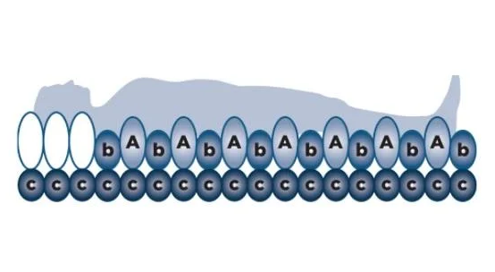 Alerta Bariatric 2 Replacement System Air Mattress