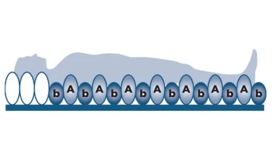Alerta Emerald 2 Overlay System Air Mattress