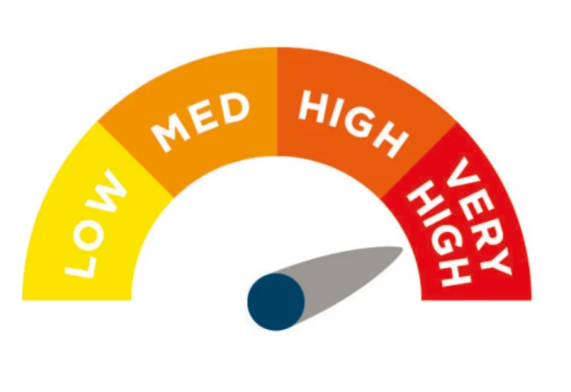 Alerta Ruby 2 Replacement System Air Mattress