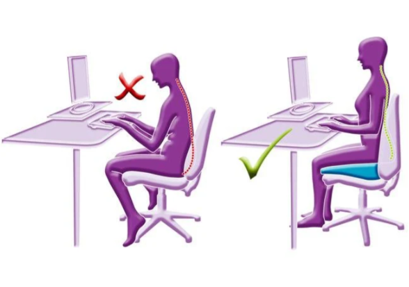 Putnams 8° Degree Sitting Wedge(3"): Posture and Pain Relief