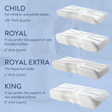 Putnam Memory Foam Pillow: Ergonomic Support for Back and Side Sleepers