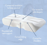 Putnam's Neck Support Foam Pillow - Neck Support Pillow To Aid Restful Sleep - Standard Foam
