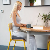 Memory Foam Wedge - Car & Office (3¾")