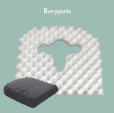 Office Chair Cushion by Putnams - Sero Pressure Cushions