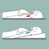 Putnams Travel Bed Wedge