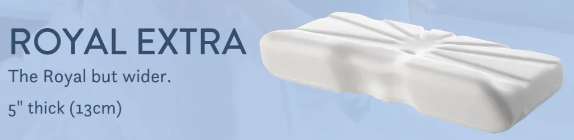 Putnam Memory Foam Pillow: Ergonomic Support for Back and Side Sleepers